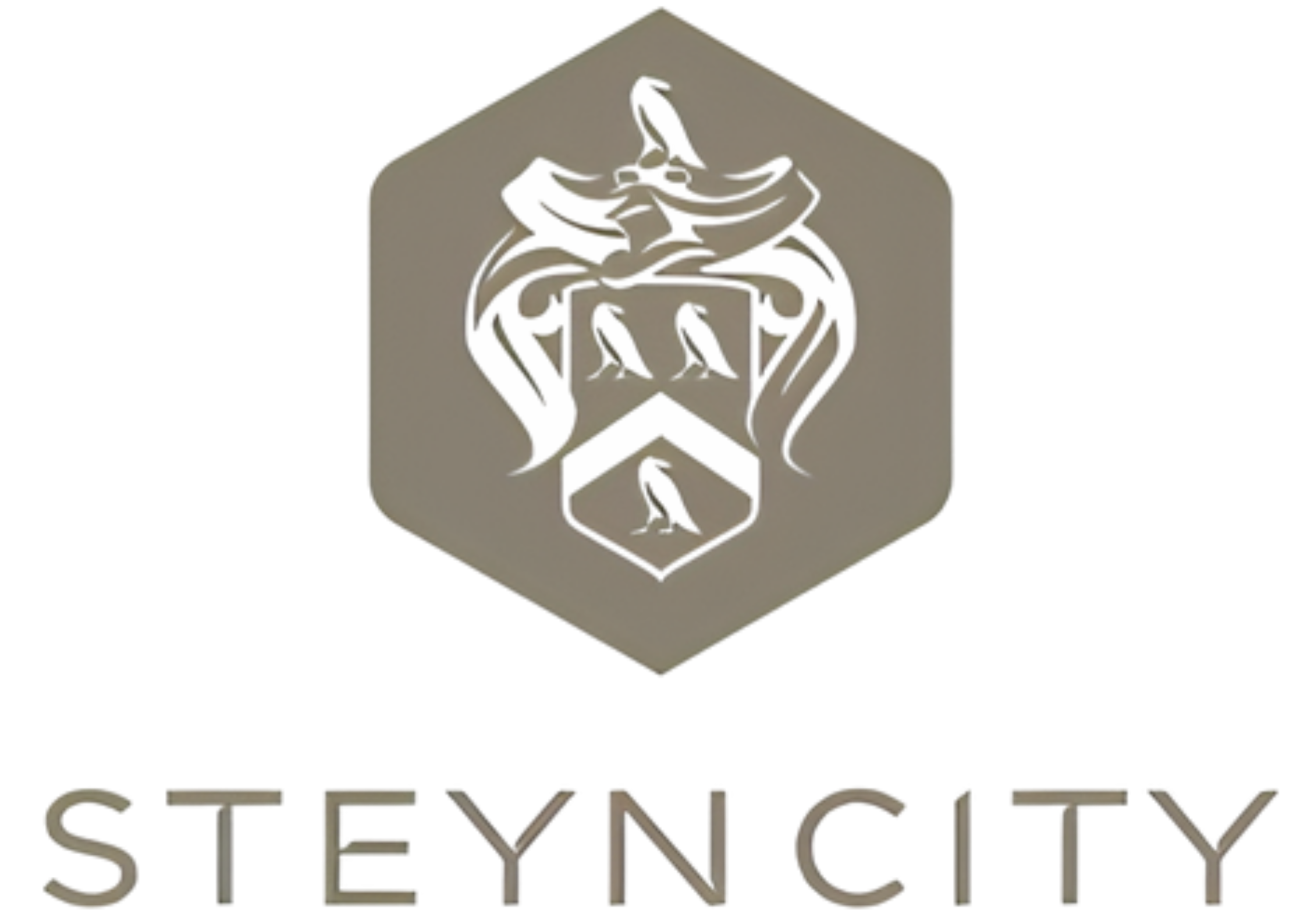 Steyn City